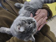 -半天妖烤鱼(方庄店)