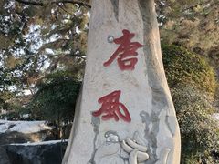 -中国唐苑