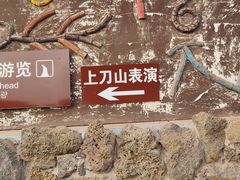 -呀路古热带植物园
