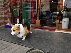 -老四川平头酸菜鱼(衙前店)