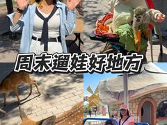 -水上乐园·欢乐世界