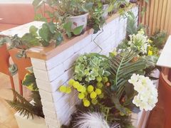 -意风小镇(内江万达广场店)