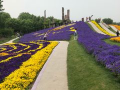 -南通洲际绿博园