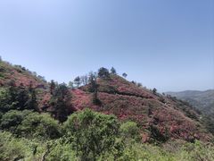 -木兰云雾山