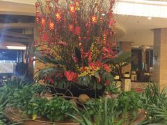 三亚凯莱仙人掌度假酒店-三亚亚龙湾凯莱仙人掌度假酒店