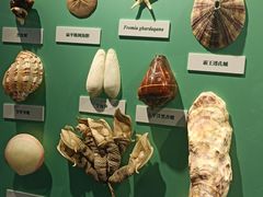 -大连自然博物馆