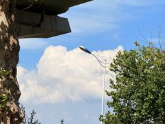 -济南国际园博园