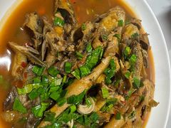 -全乐鱼馆·淳牌有机鱼直营店