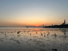 -深圳湾公园(南山区)