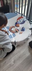 -中法母婴月子中心(南湖创始店)