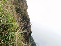-梧桐山风景名胜区