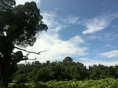 android_upload_pic-景山公园