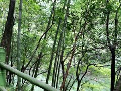 -周洛大峡谷