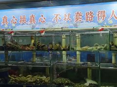 -来之顺海鲜菜馆·青岛菜·始于1993(栈桥店)