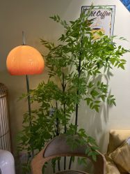 -变美丽半永久纹眉连锁·机器野生眉•洗眉