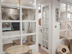 -楼上猫咖(罗湖店)