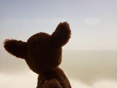 -深圳机场码头