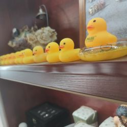 -花岐款式专研健康美甲沙龙