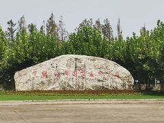 -上海海湾国家森林公园