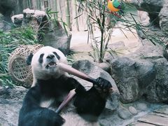 -北京动物园