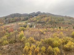 -果松木炭酸菜铜火锅·外婆参鸡汤