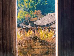 -石台牯牛降景区