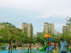 -飞凤山奥体公园