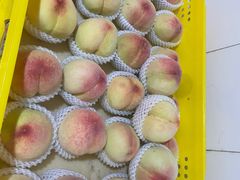 -老袁家蜜桃农场·阳山水蜜桃