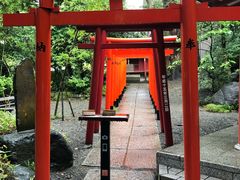 -来宫神社