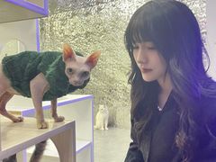 -极木²邸 人与宠物·互动社区