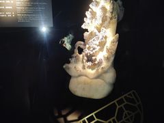 -深圳珠宝博物馆