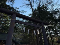 -北海道神宫