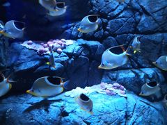 -成都浩海立方海洋公园