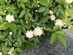 -金银湖国家城市湿地公园