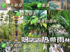 -呀诺达热带雨林