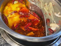 鸳鸯锅底-欧阳小姐在成都(鼓楼店)