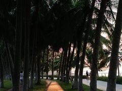 -万绿园