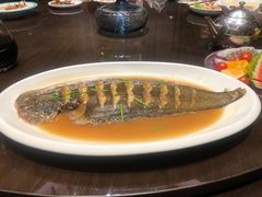 -青岛鑫江温德姆酒店
