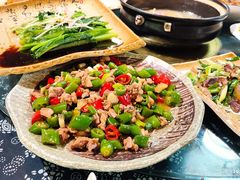 -青城甲(青城山店)