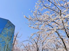 -龙美术馆(西岸馆)