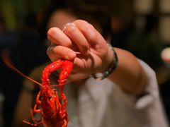 -巴厘龙虾·榜首油焖大虾(洞庭·艺术洋房店)