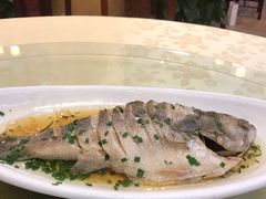 清蒸鲈鱼-西新饭店(城中店)