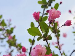 -韩湘水博园