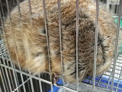 -乐宠宠物店(世纪金源店)