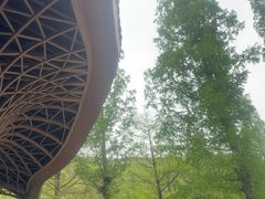 -东明山森林公园