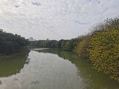 -海珠湖公园