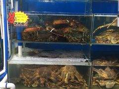 -蚝专家(北滘店)