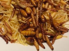 昆虫总动员-缘生态云南菜·野生菌庭院餐厅(华侨城店)