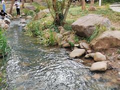 -新洲生态园