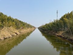 -黄海国家森林公园